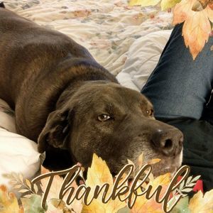 Meet your Posher, Pam